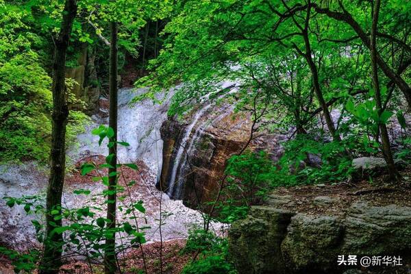辽宁老工业基地有哪些？碧水蓝天入画来——辽宁老工业基地十年生态嬗变观察