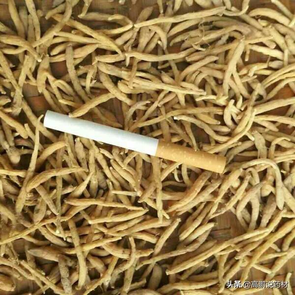 近期中药材太子参的价格，高鹏说药材：市场热点品种太子参后市行情走势解析
