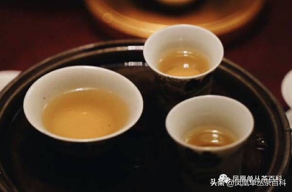 凤凰单丛茶是名茶吗？凤凰单丛茶香分类