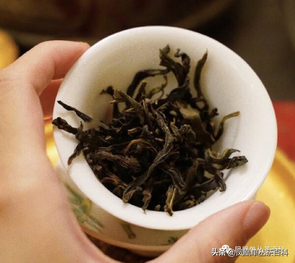 凤凰单丛茶是名茶吗？凤凰单丛茶香分类