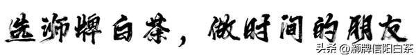 信阳白茶官网，信阳有白茶吗？