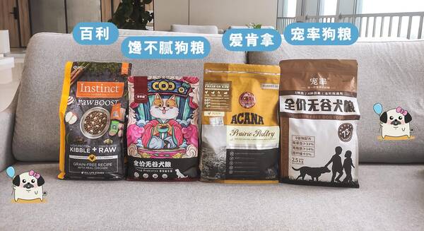 养的狗被禁养怎么办？注意！这些狗已经被“禁养”了，别再傻傻掏钱买了