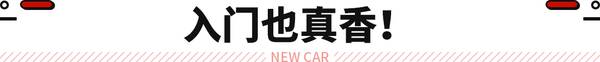 奥迪a8l最新消息，奥迪a8l2022款大改款
