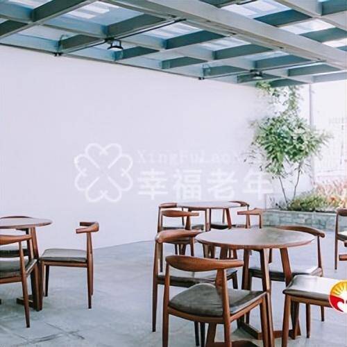 上海泰康养老院，上海中福会养老院