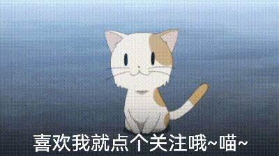 养的狗被禁养怎么办？注意！这些狗已经被“禁养”了，别再傻傻掏钱买了