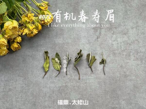 白茶白牡丹与寿眉的区别，白牡丹茶和寿眉哪个好？