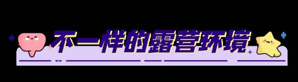 露营帐篷，星月度露营小镇