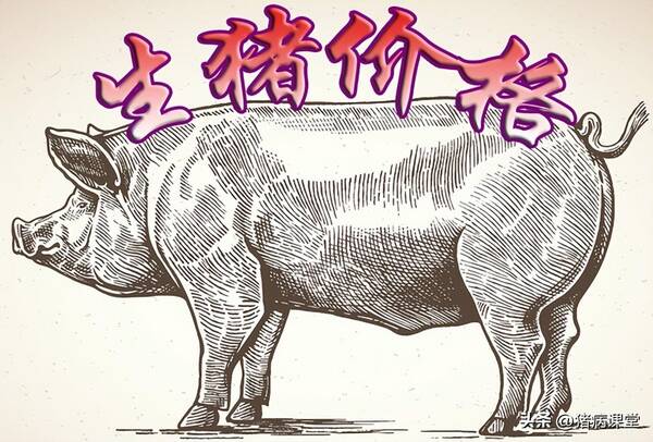 生猪价格走势，生猪价格过年的走向