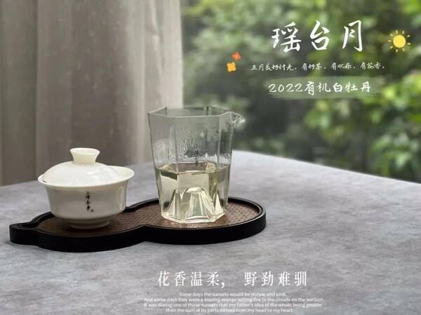 白茶白牡丹与寿眉的区别，白牡丹茶和寿眉哪个好？