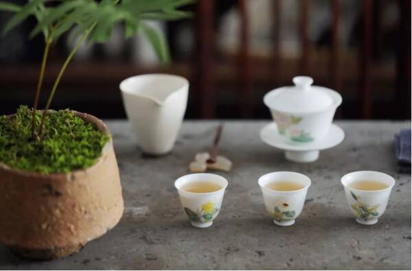 杭州老字号茶叶，浙江一老茶客收藏的茶叶曝光，竟然没有一款大牌茶，令人意外