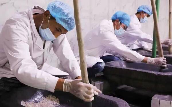 民族医药，藏医药的发展与传承