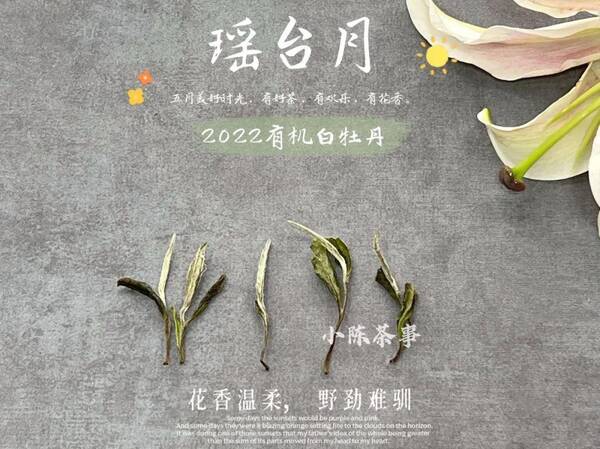白茶白牡丹与寿眉的区别，白牡丹茶和寿眉哪个好？