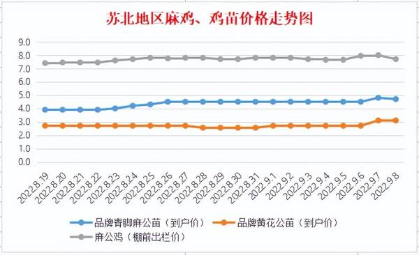 今天鸡苗817价格行情，今日麻鸡苗价格行情