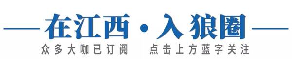 五粮液专卖店酒，五粮液股份公司的酒