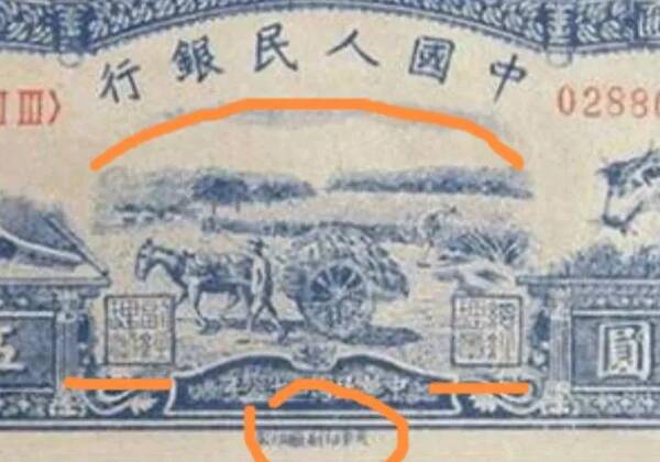 靠前套人民币100元骆驼图片，靠前套人民币水牛五元值多少钱