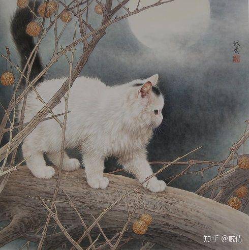 狮子猫属于中华田园猫吗？中国临清狮子猫