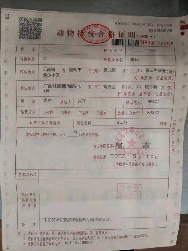 铁路宠物托运如何办理？想带宠物一起出行？铁路宠物托运了解一下多少钱