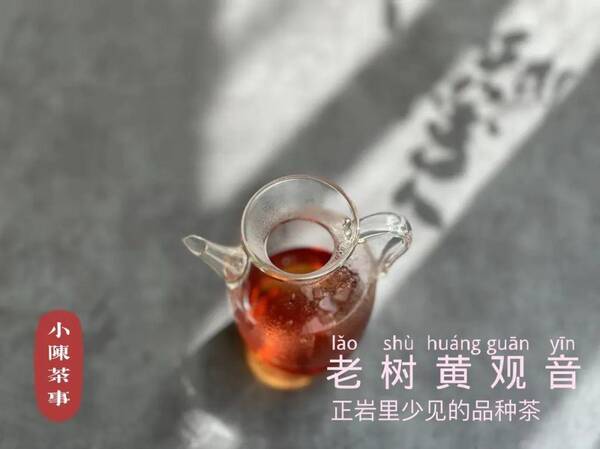 茶圈鄙视链喝岩茶的看不上所有茶类，中秋买岩茶，记住这些“关键词”，都是茶掌柜常用的坑钱套路