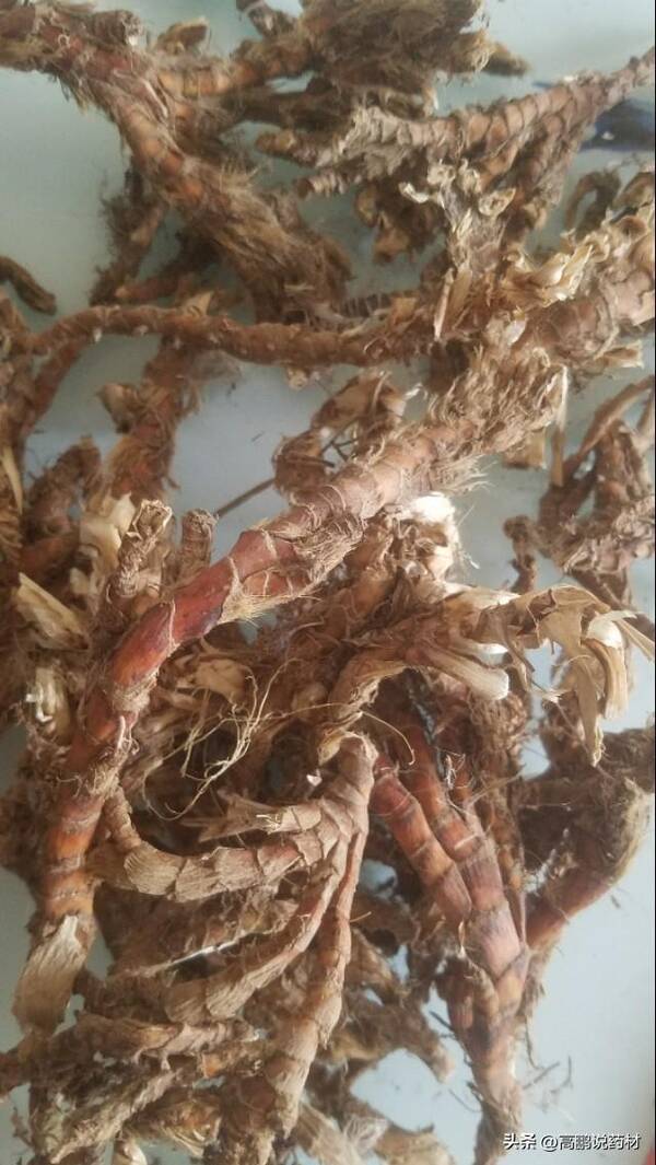 石菖蒲市场分析和发展前景预测，高鹏说药材：市场热点品种石菖蒲后市行情走势简析
