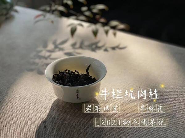 茶圈鄙视链喝岩茶的看不上所有茶类，中秋买岩茶，记住这些“关键词”，都是茶掌柜常用的坑钱套路