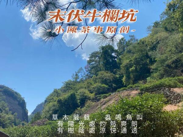 茶圈鄙视链喝岩茶的看不上所有茶类，中秋买岩茶，记住这些“关键词”，都是茶掌柜常用的坑钱套路