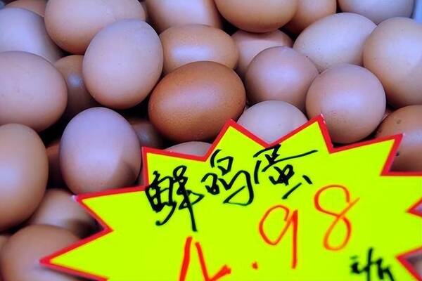 猪价逆势大涨玉米跌势如潮，9.14日猪价“大变脸”，玉米跌势反扑！羊价、鸡蛋、油价全线哑火