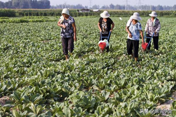 退林还耕一亩补偿多少钱，农村土地流转补偿新标准多少钱一亩