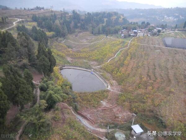 退林还耕一亩补偿多少钱，农村土地流转补偿新标准多少钱一亩
