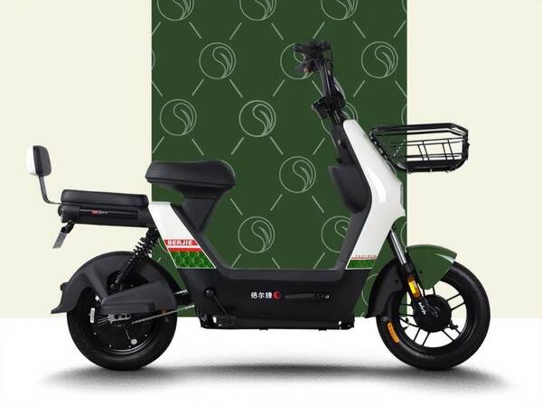 2000元到3000元电动车推荐，续航1000公里的电动汽车推荐