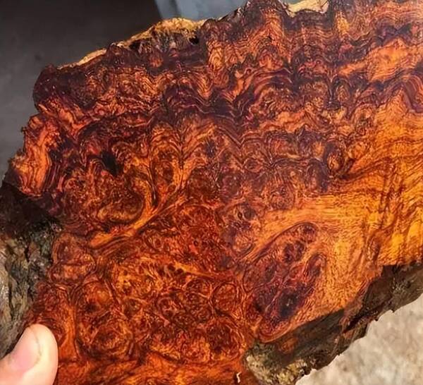 哪种文玩手串假货最少？这几种文玩手串都有病，但却人见人爱，价格还不低