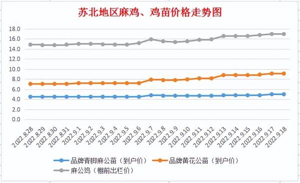 今日麻鸡价格最新价格817，今日麻鸡苗价格行情