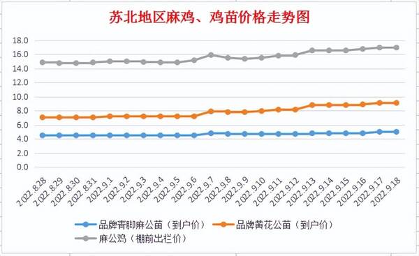 今日麻鸡价格最新价格817，今日麻鸡苗价格行情