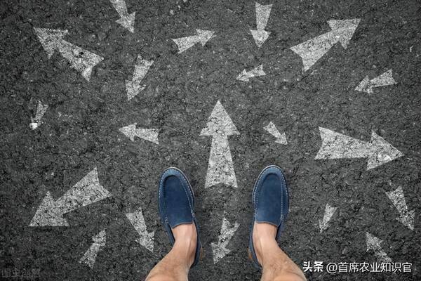 近年来国际社会对植物来源药品的兴趣日益增长，全球20-30亿美元，植物生长调节剂，正在快速发展的增量大市场