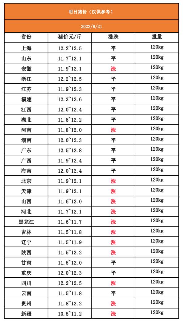 明日猪价2022.6.28猪价，明日猪价|2022.9.21~全国最新猪价