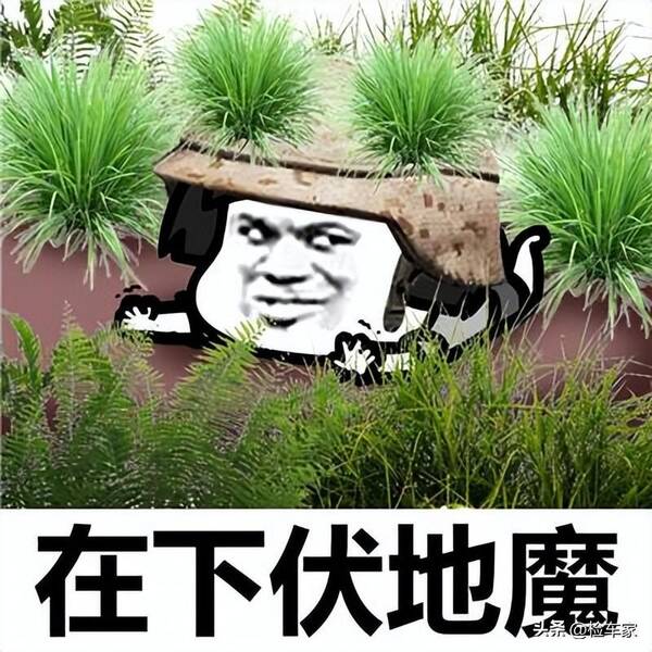 奔驰AMGG65，奔驰g级amgg65
