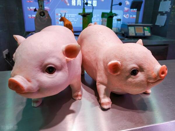 13日猪价早知道，7.19猪价早知道：3省迎大涨将11元