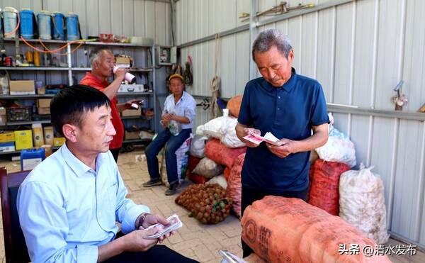 清水县核桃产业简介，清水：青皮核桃销路畅农民收入有保障