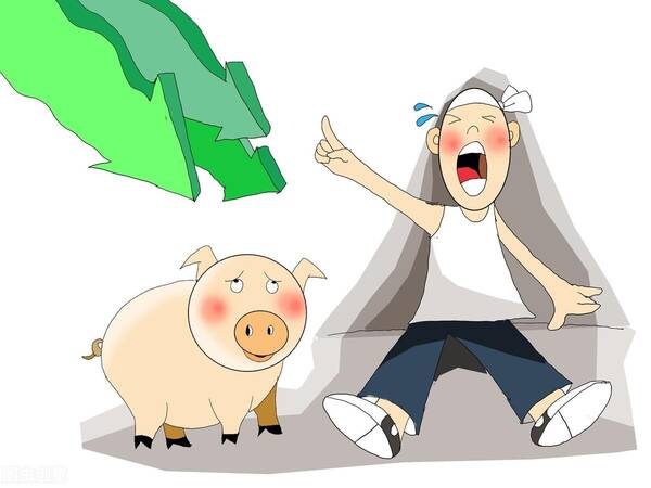 13日猪价早知道，7.19猪价早知道：3省迎大涨将11元