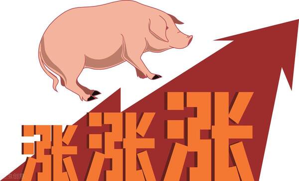 13日猪价早知道，7.19猪价早知道：3省迎大涨将11元