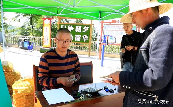 清水县核桃产业简介，清水：青皮核桃销路畅农民收入有保障