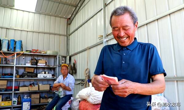 清水县核桃产业简介，清水：青皮核桃销路畅农民收入有保障