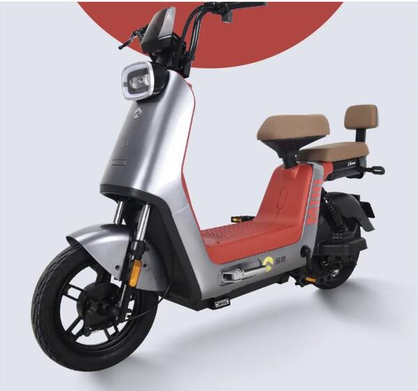 电动车价格及图片2022新款，9号电动车新款价格