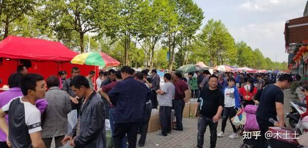 太平猴魁为什么这么贵呢?太平猴魁为什么这么贵? 太平猴魁为什么这么贵呢?太平猴魁为什么这么贵?