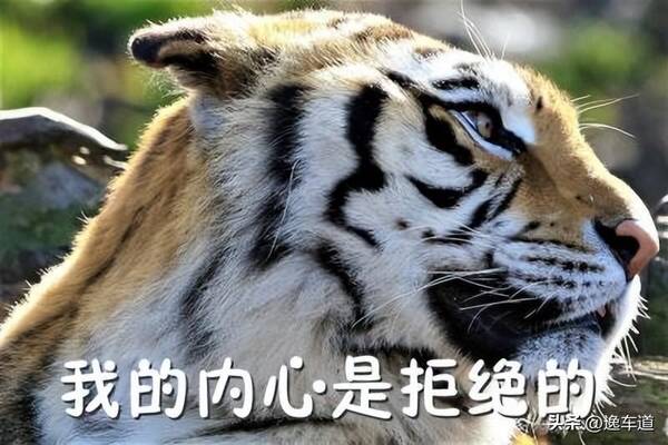 15万买天籁，14万的准新天籁，交了定金后被车行15万卖给别人，客户：岂有此理