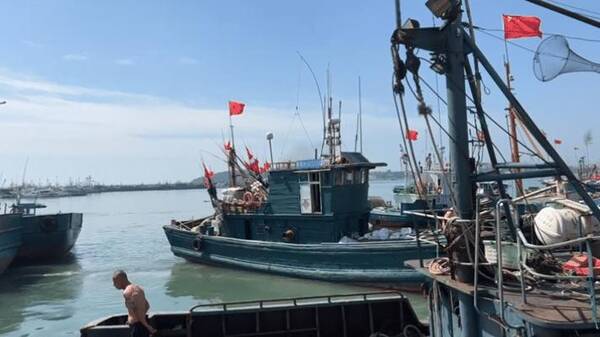 青岛海鲜价格查询，青岛开海的海鲜价格怎么样？