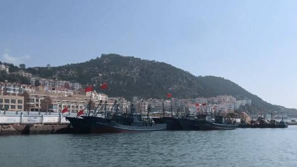 青岛海鲜价格查询，青岛开海的海鲜价格怎么样？