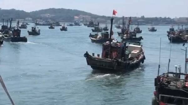 青岛海鲜价格查询，青岛开海的海鲜价格怎么样？