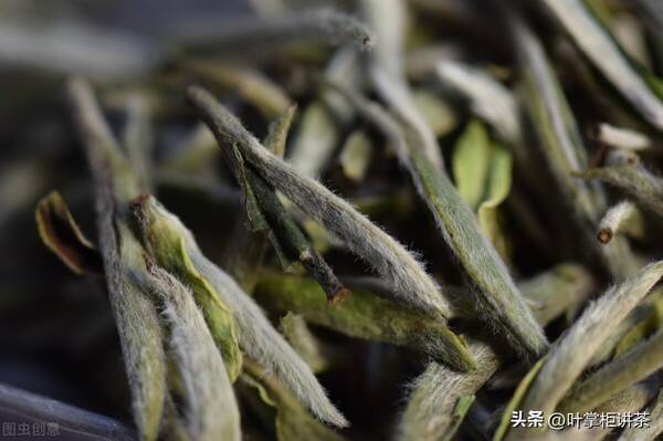 福鼎白茶白牡丹文案，白茶中的白牡丹是什么茶？