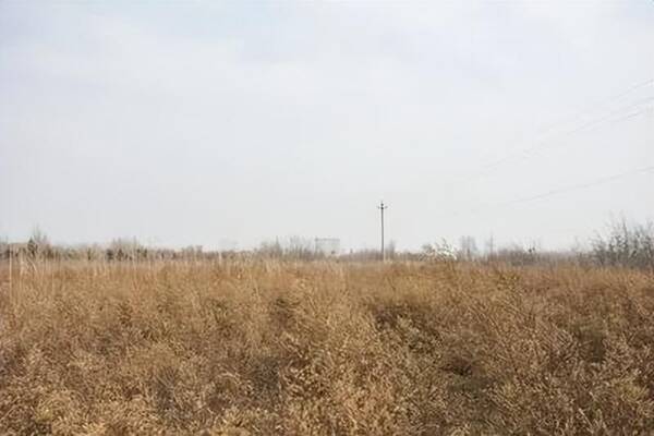 集体土地征地补偿，土地补偿款多少钱