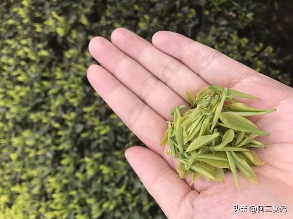 秋天喝红茶还是绿茶好，秋天适合喝茶叶吗？